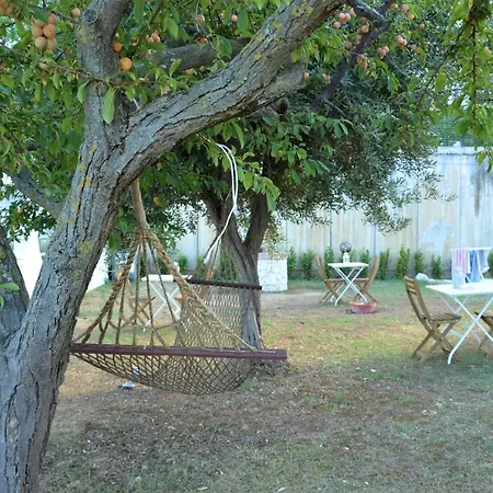 Bed & Breakfast La Cicala Del Conero